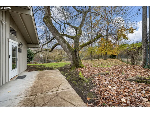 a view of a yard with plants