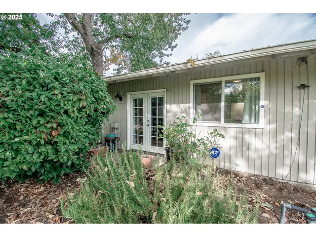 a view of a house with potted plants