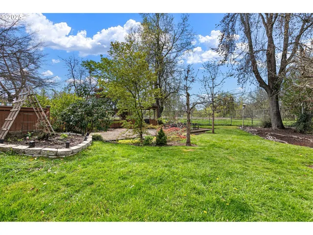 a view of a park with large trees