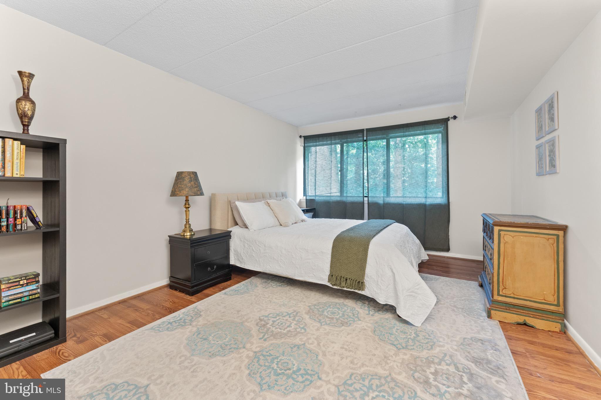 11617 Windbluff Court, Unit 9B Reston, VA 20191 - Photo 26 of 46 Primary bedroom