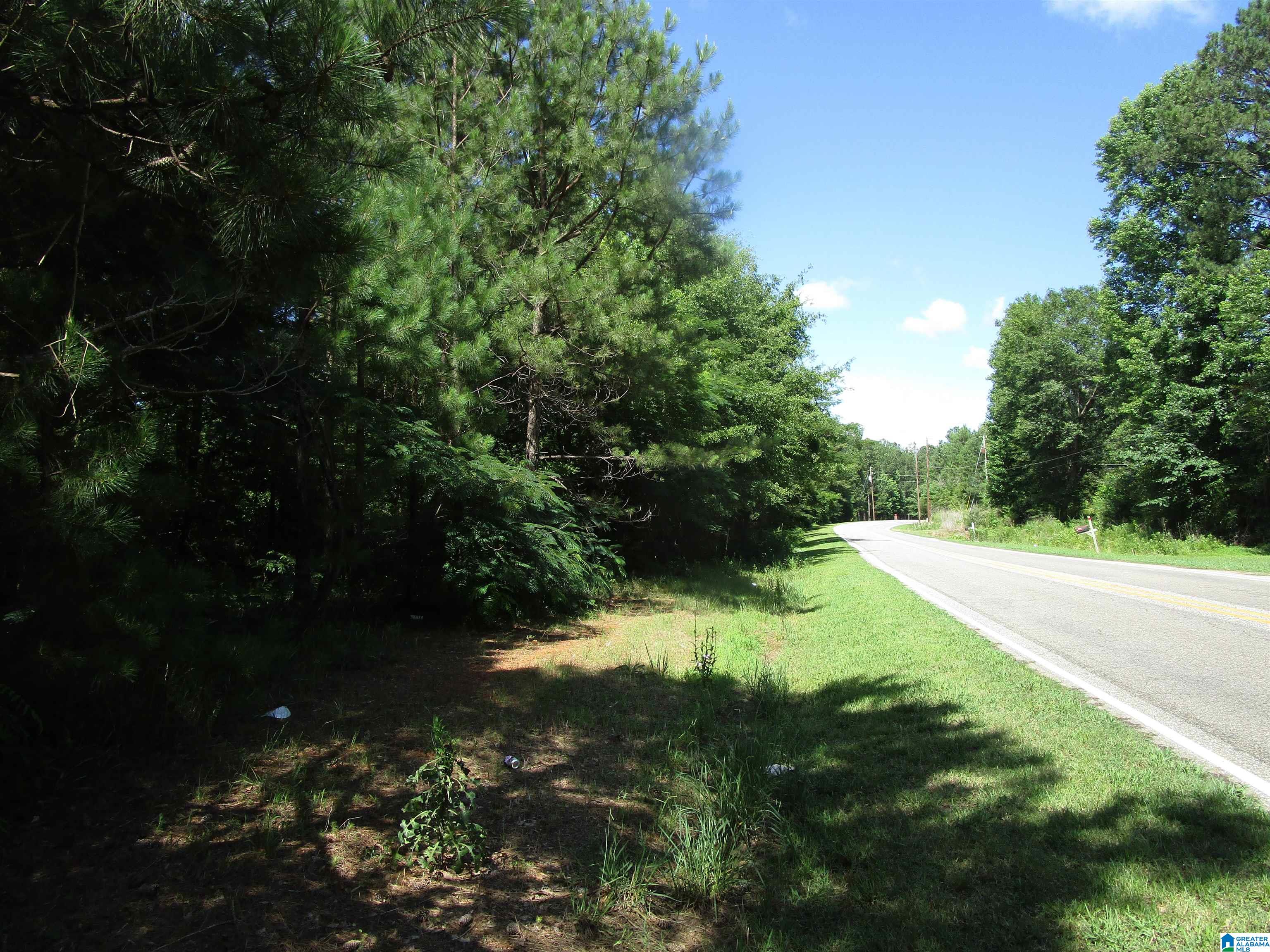 Odena Road, Unit 37 Maplesville, AL 36750 - Photo 3 of 7