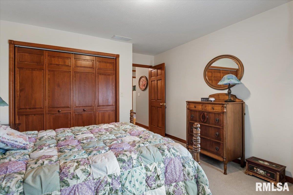 49 Woodland Trail Rochester, IL 62563 - Photo 40 of 98