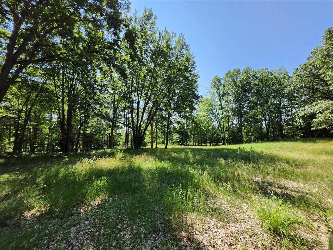 2867 East Hawley Road Custer, MI 49405 - Photo 35 of 57 Gallery Image 35