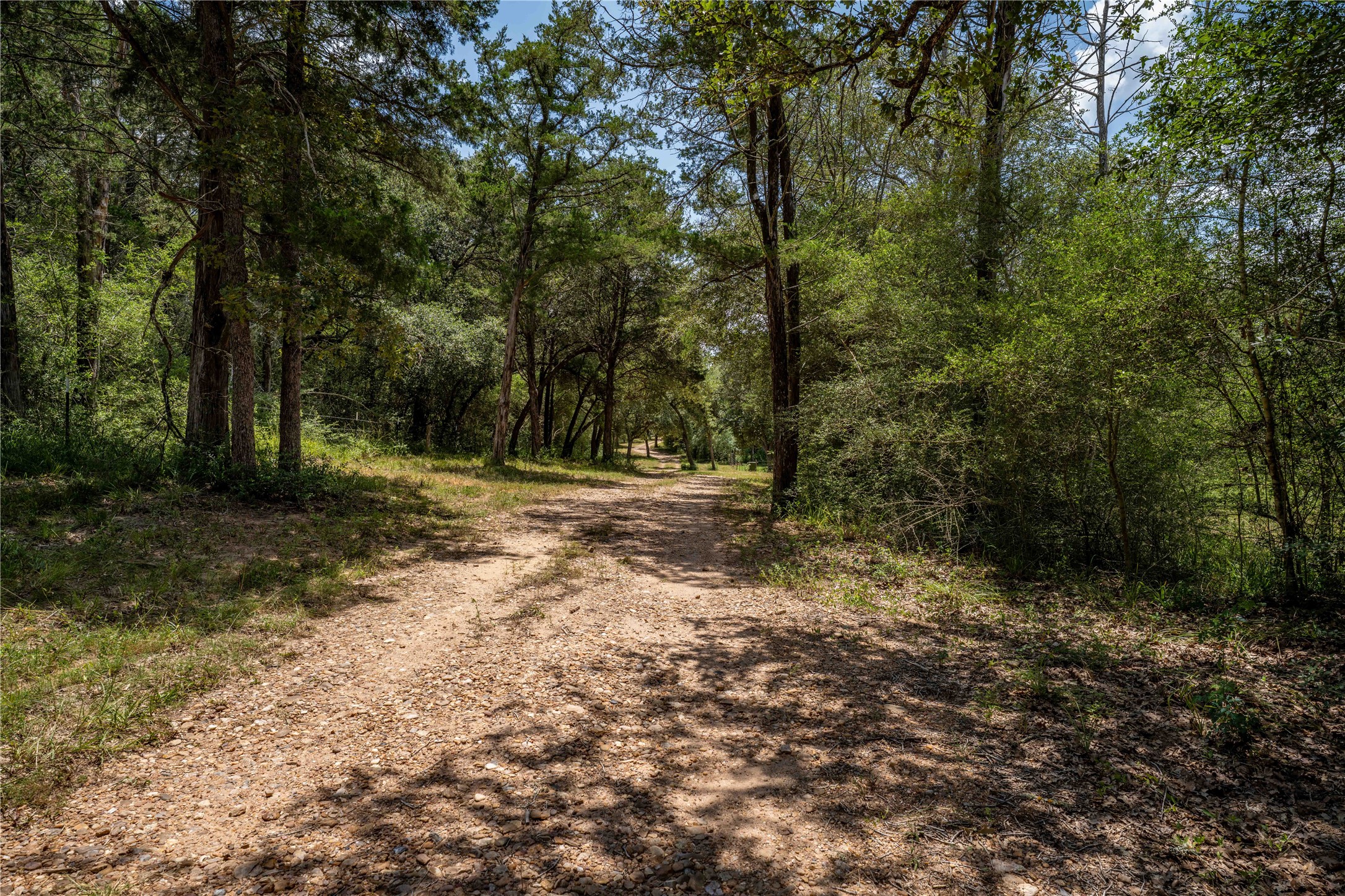 1126 Abel Road New Ulm, TX 78950 - Photo 16 of 31 Gallery Image 16