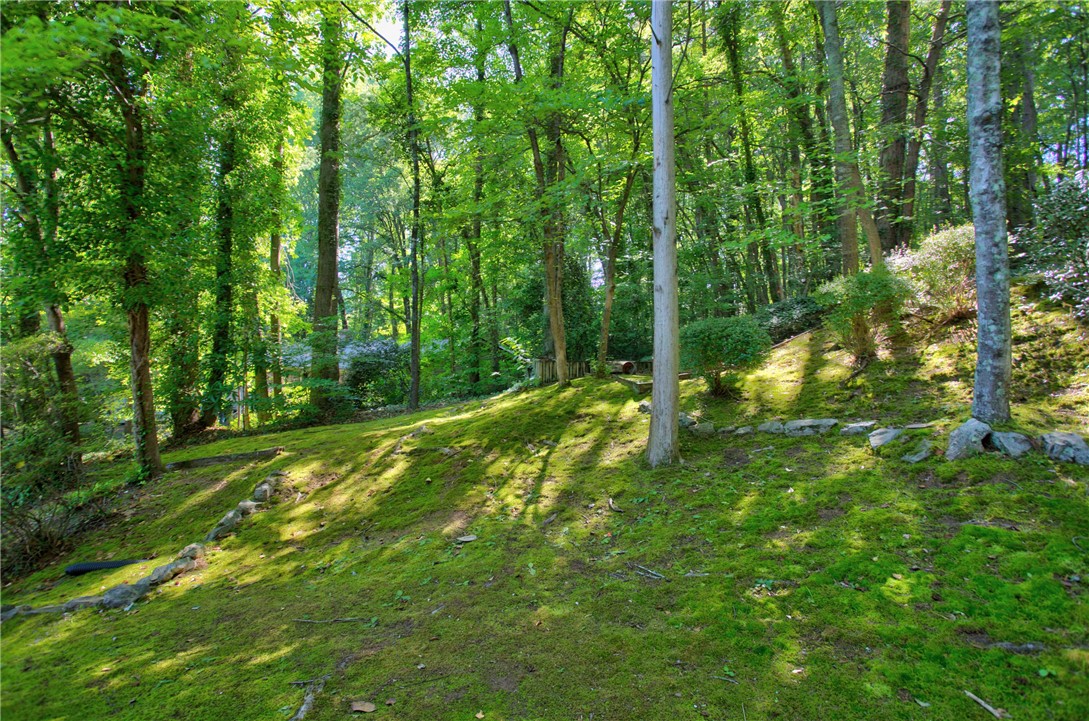 104 Laurel Lane Seneca, SC 29678 - Photo 35 of 36 A tranquil, tree-lined landscape offers natural privacy and a peaceful outdoor escape.