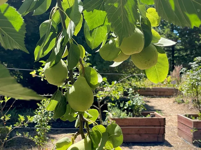 $2,195,000 | 4038 East 3rd Avenue, Napa, CA 94558