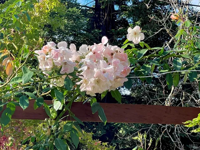 $2,195,000 | 4038 East 3rd Avenue, Napa, CA 94558