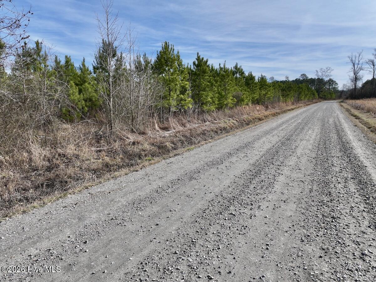 0 Old Washington Road Vanceboro, NC 28586 - Photo 19 of 34 19