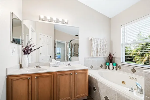 a bathroom with a double vanity sink mirror and bathtub