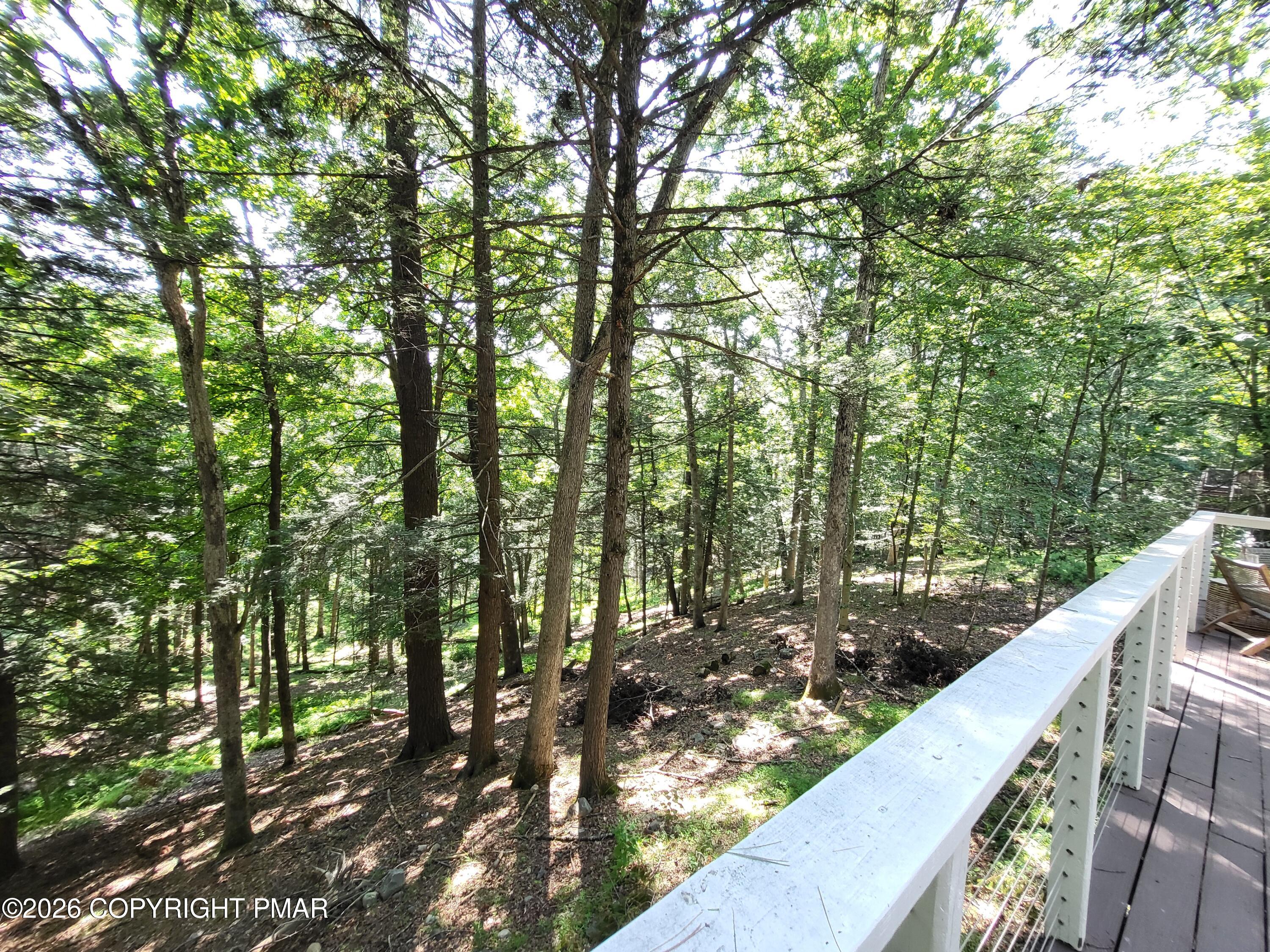 159 Manchester Drive Bushkill, PA 18324 - Photo 34 of 64 20260717_154211