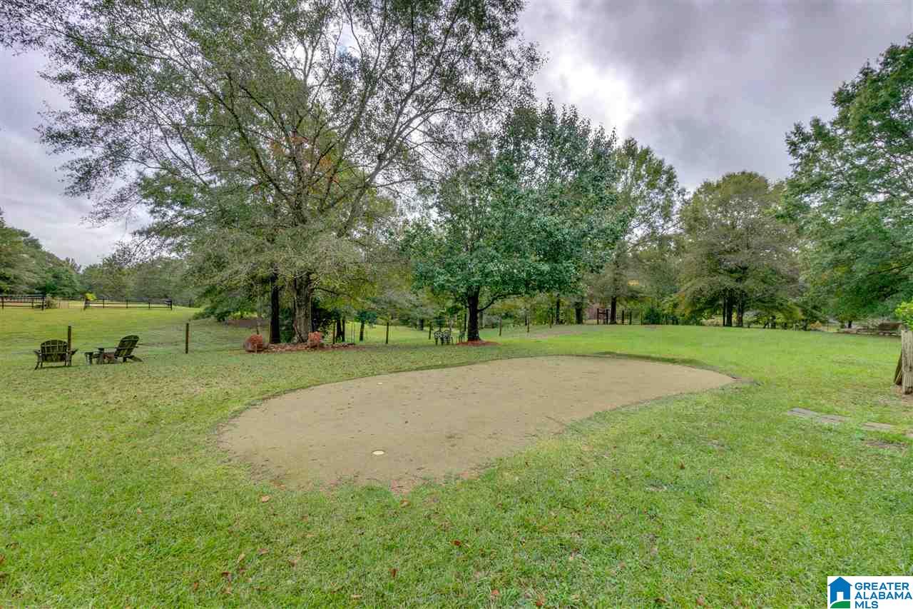 1645 County Road 153 Jemison, AL 35085 - Photo 47 of 50
