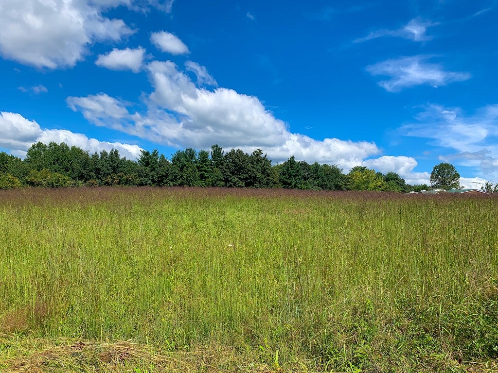 Tbd Apple Ridge Road, Unit 7 Cana, VA 24317 - Photo 17 of 27 Gallery Image 17