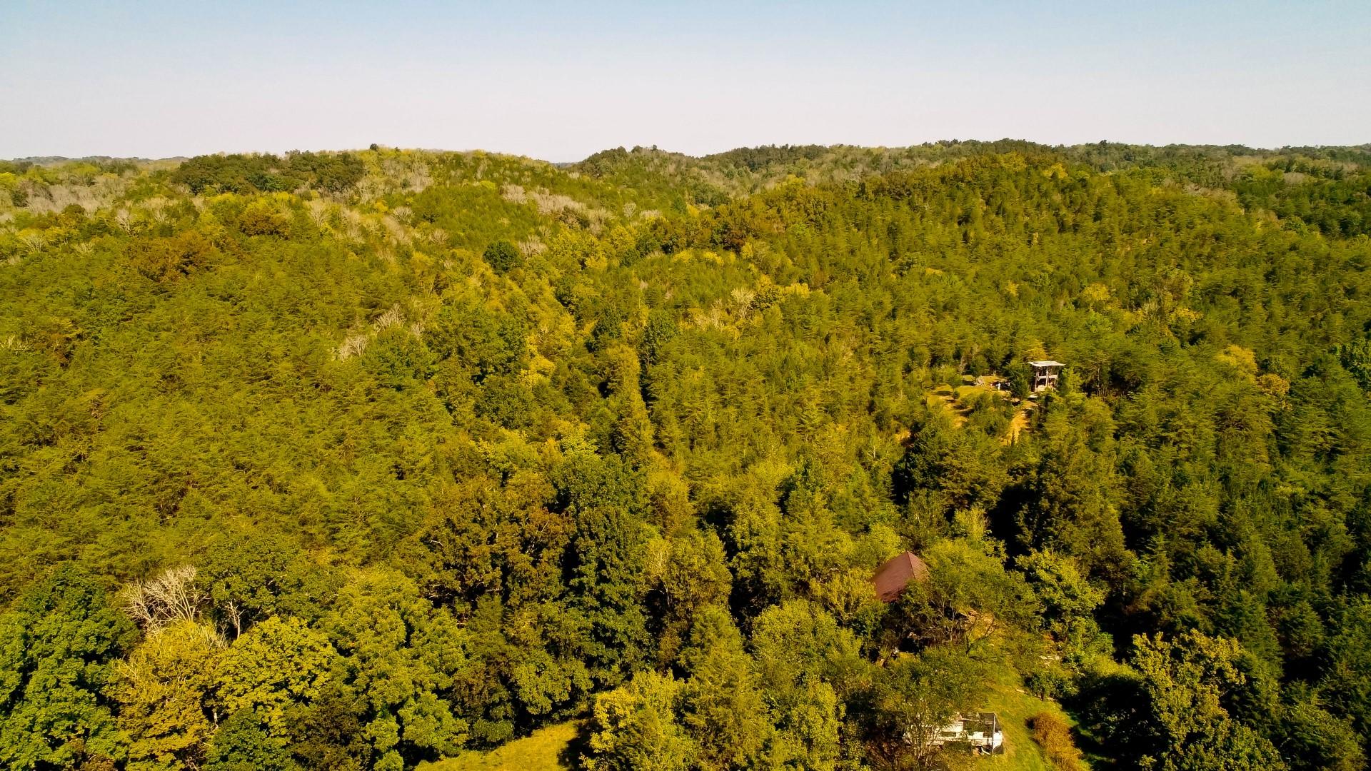 1105 Palmer Hollow Road Bybee, TN 37713 - Photo 1 of 35 DJI_0001