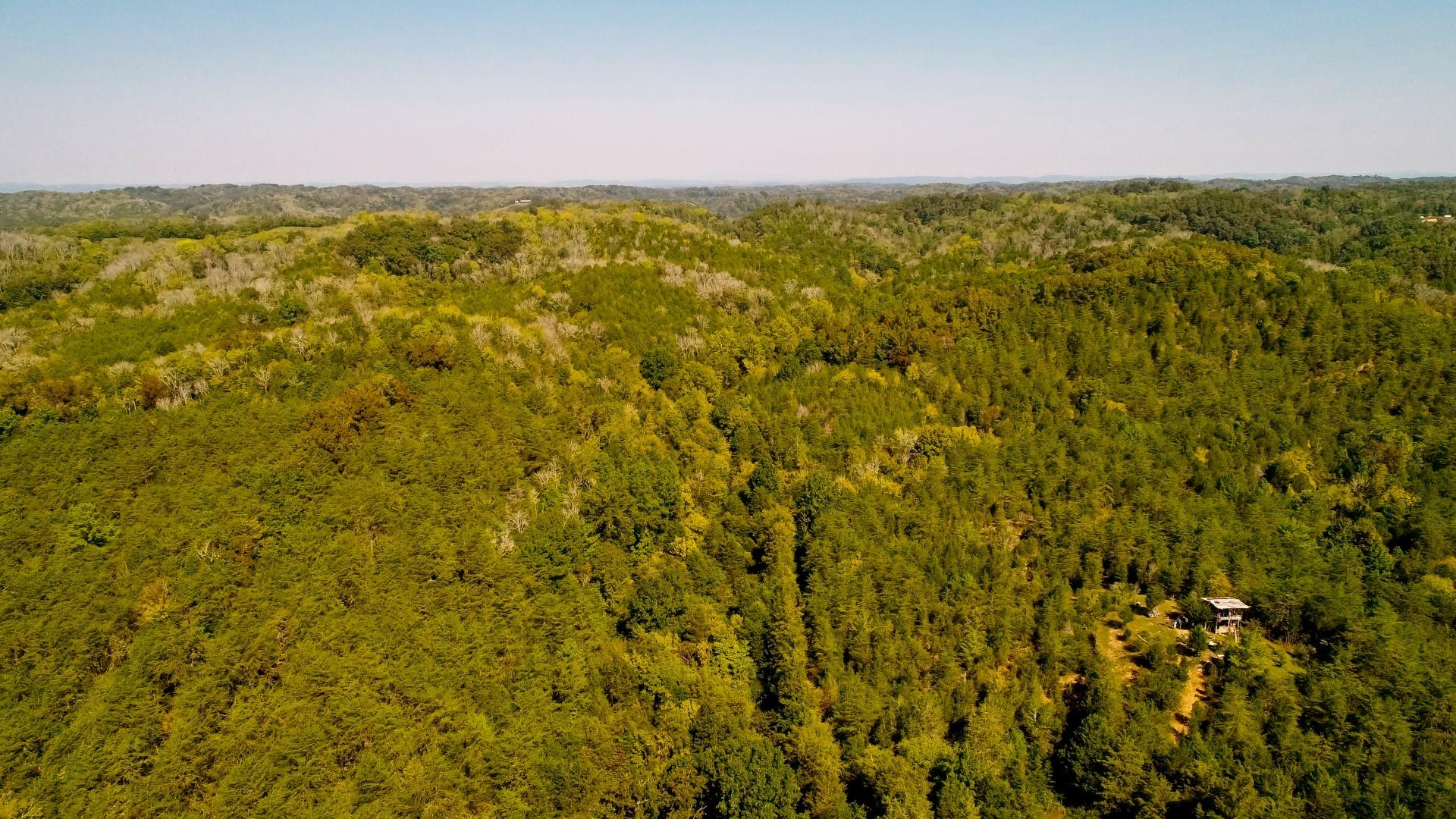 1105 Palmer Hollow Road Bybee, TN 37713 - Photo 11 of 35 DJI_0002