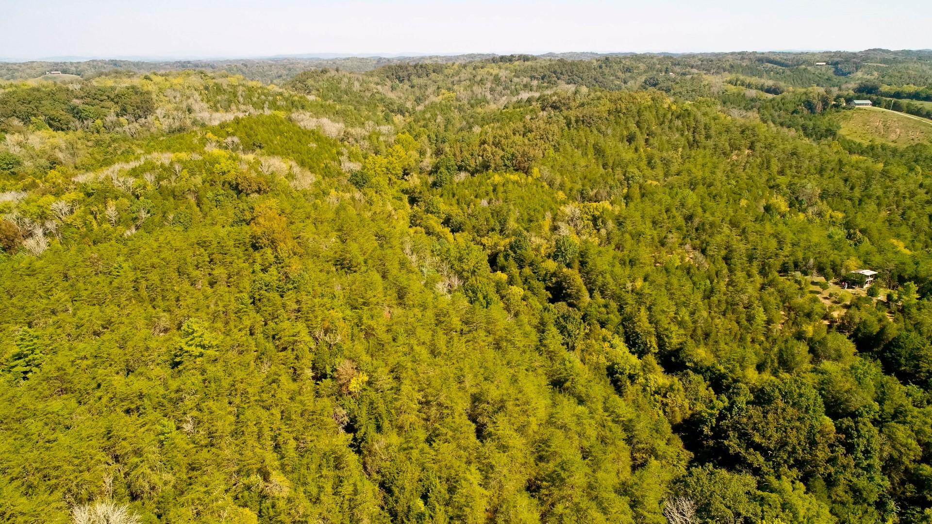 1105 Palmer Hollow Road Bybee, TN 37713 - Photo 12 of 35 DJI_0004