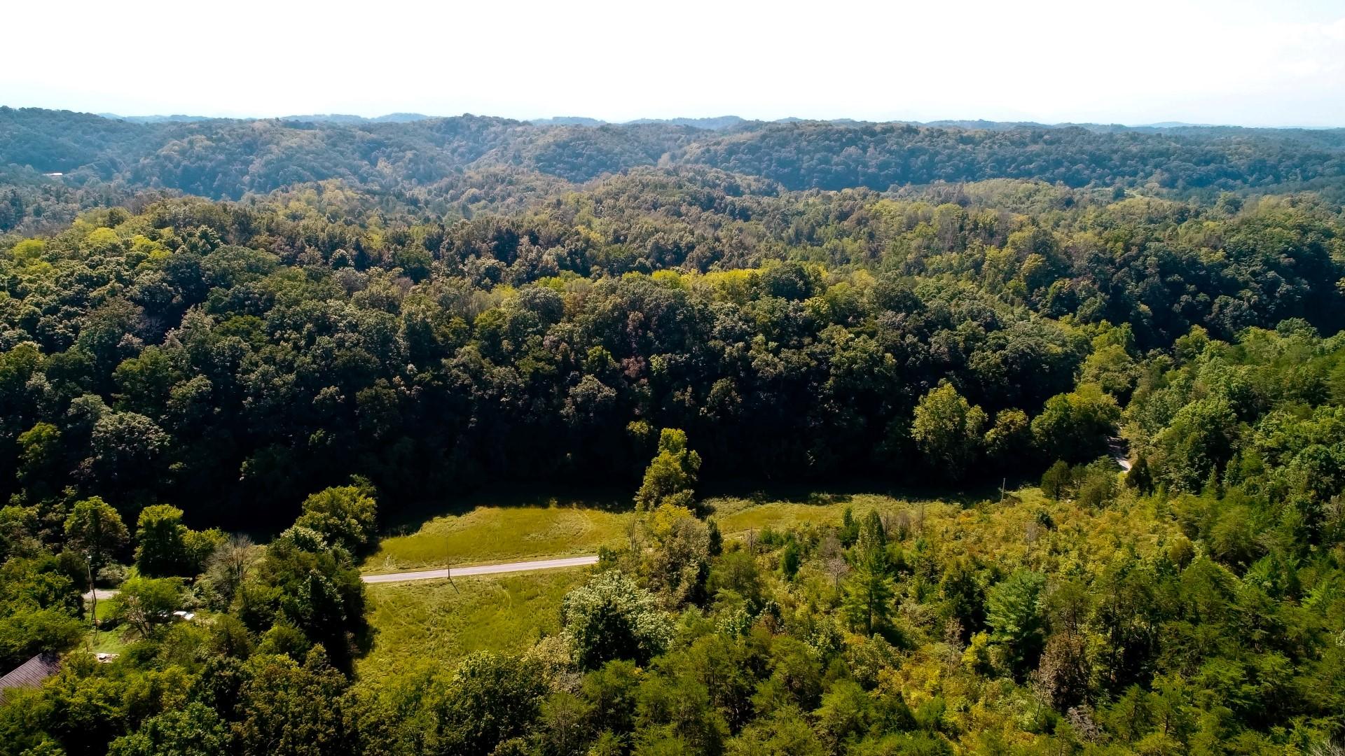 1105 Palmer Hollow Road Bybee, TN 37713 - Photo 13 of 35 DJI_0007