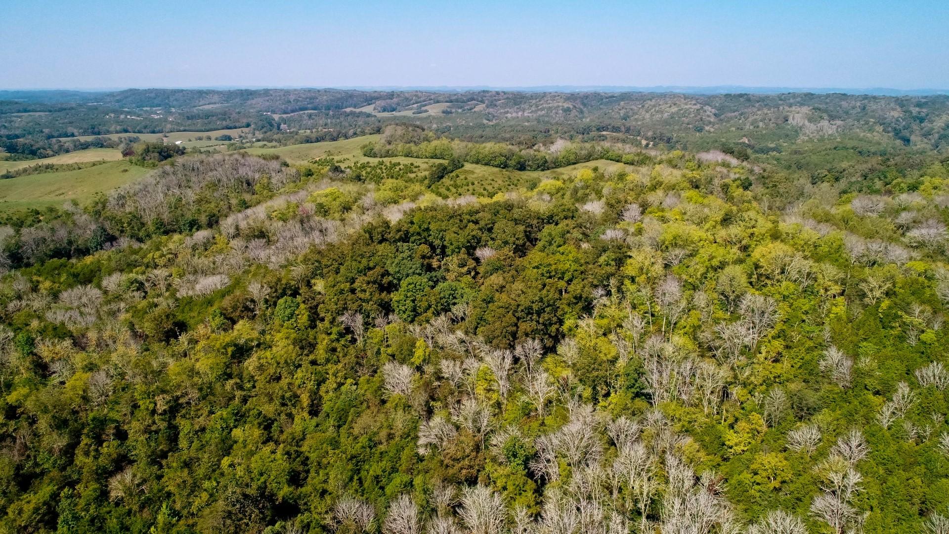 1105 Palmer Hollow Road Bybee, TN 37713 - Photo 14 of 35 DJI_0010