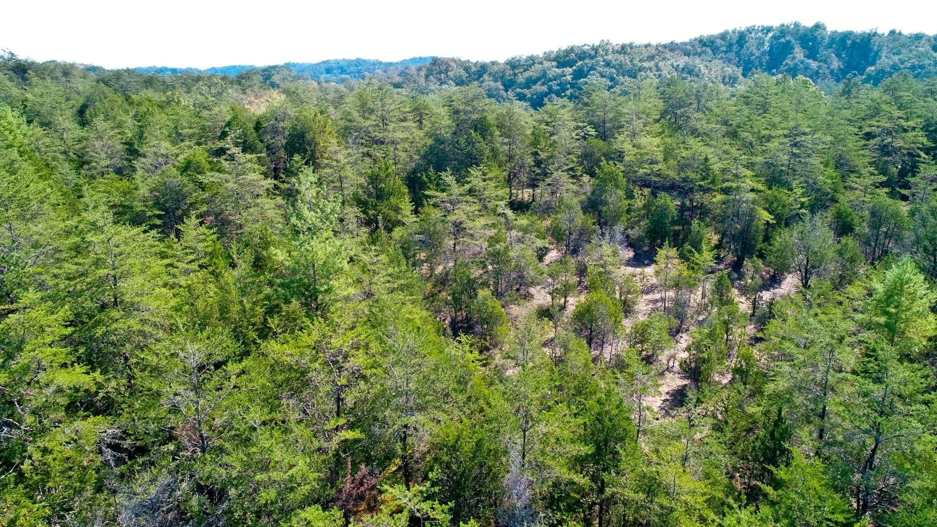 1105 Palmer Hollow Road Bybee, TN 37713 - Photo 16 of 35 DJI_0017