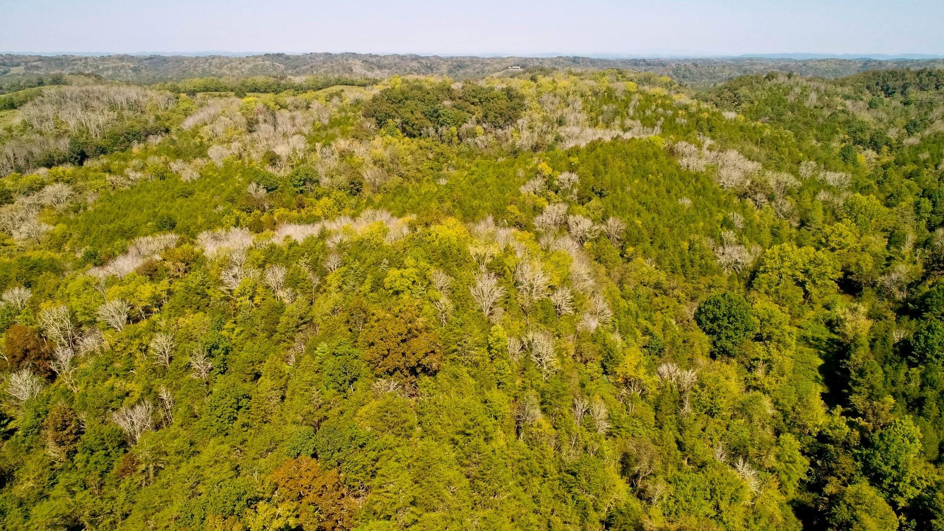 1105 Palmer Hollow Road Bybee, TN 37713 - Photo 17 of 35 DJI_0006