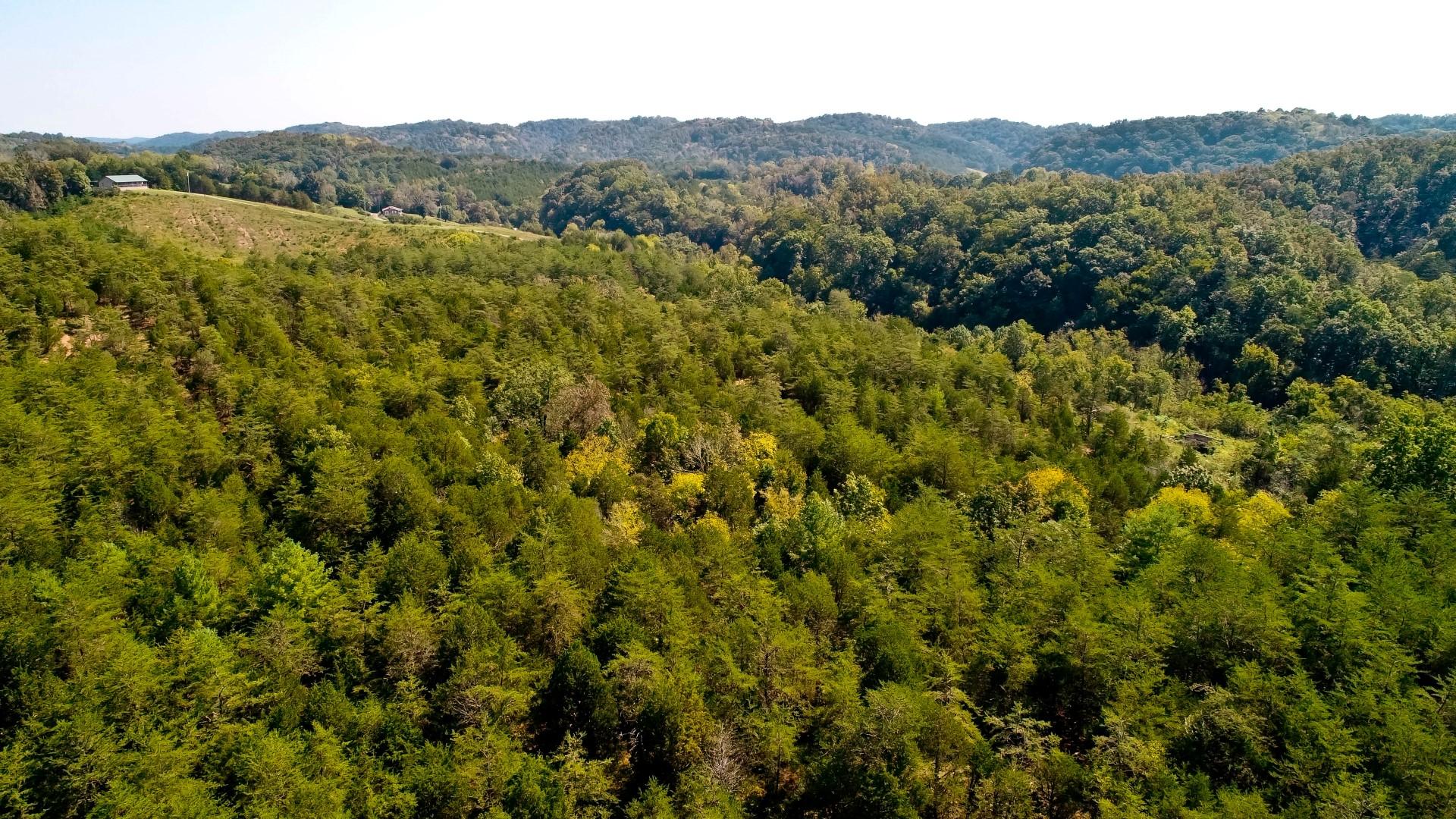 1105 Palmer Hollow Road Bybee, TN 37713 - Photo 19 of 35 DJI_0016