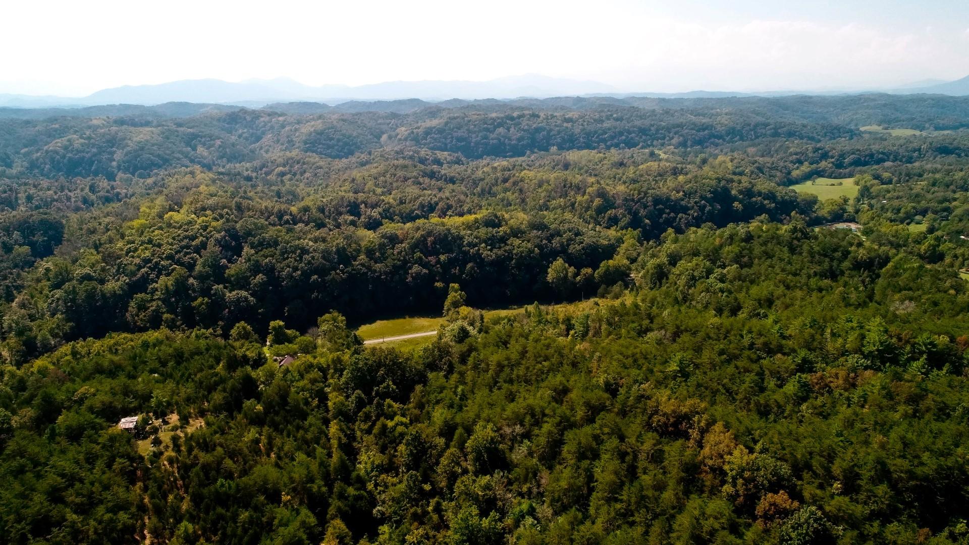 1105 Palmer Hollow Road Bybee, TN 37713 - Photo 3 of 35 DJI_0015