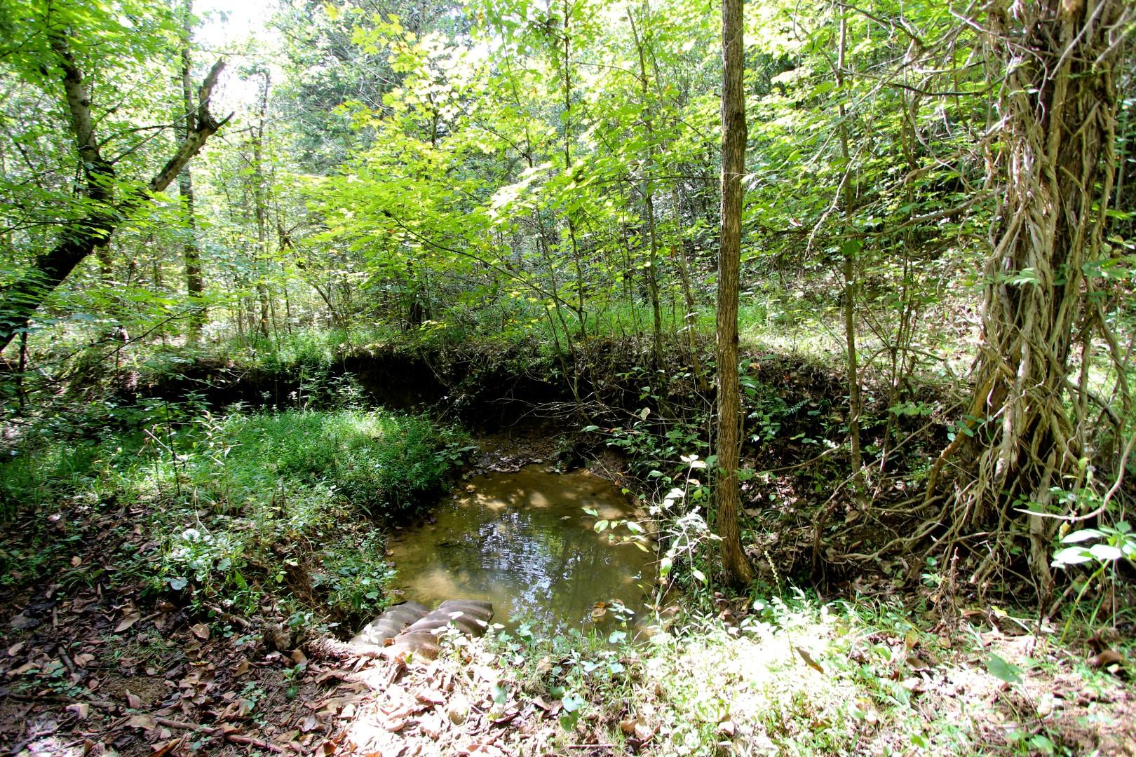1105 Palmer Hollow Road Bybee, TN 37713 - Photo 23 of 35 IMG_0647