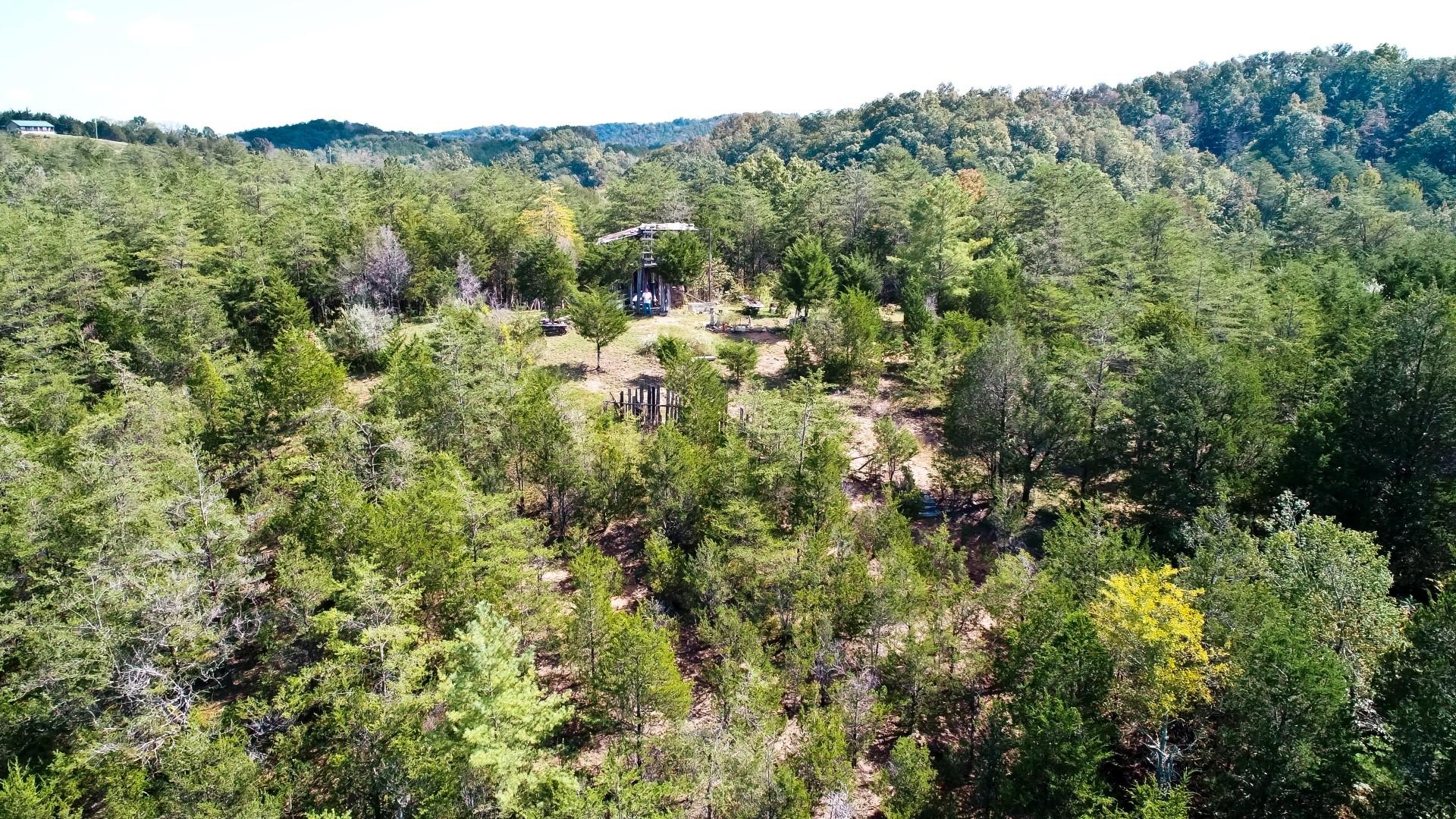 1105 Palmer Hollow Road Bybee, TN 37713 - Photo 25 of 35 DJI_0031