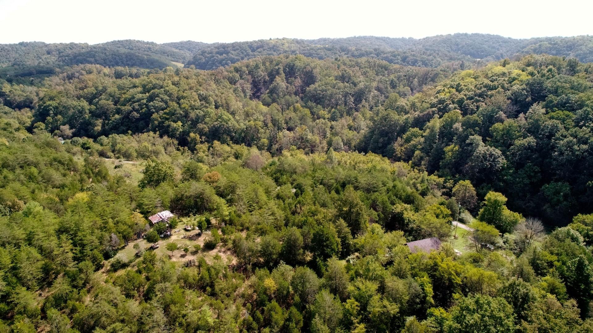 1105 Palmer Hollow Road Bybee, TN 37713 - Photo 26 of 35 DJI_0032