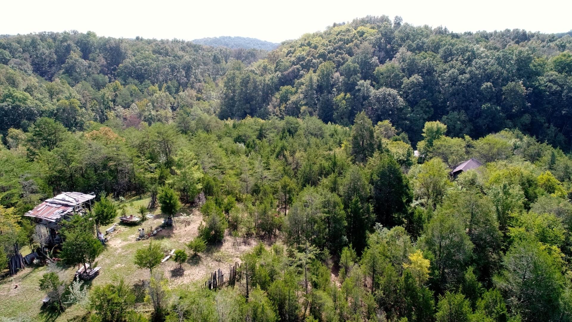 1105 Palmer Hollow Road Bybee, TN 37713 - Photo 27 of 35 DJI_0033
