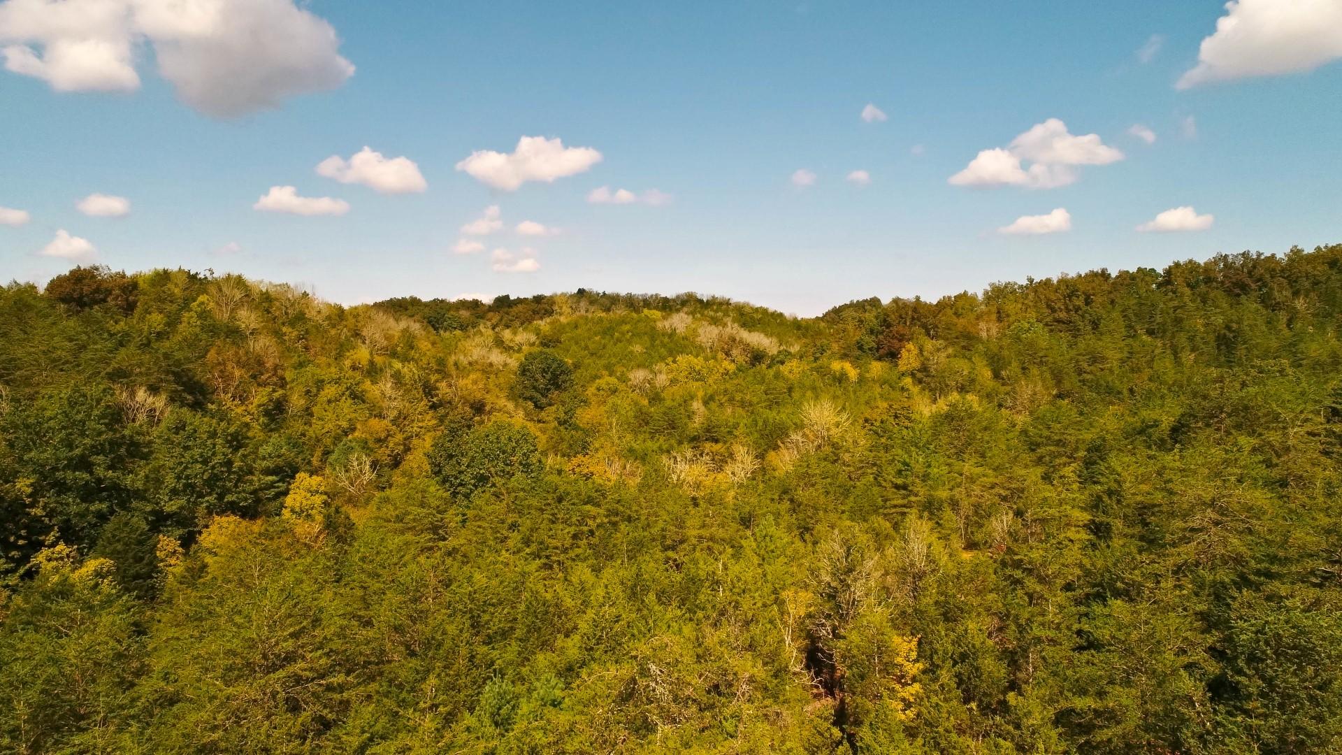 1105 Palmer Hollow Road Bybee, TN 37713 - Photo 4 of 35 DJI_0030