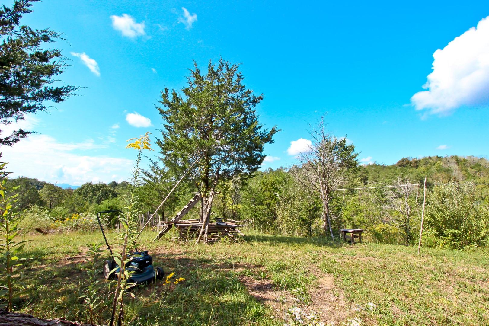 1105 Palmer Hollow Road Bybee, TN 37713 - Photo 35 of 35 IMG_0645