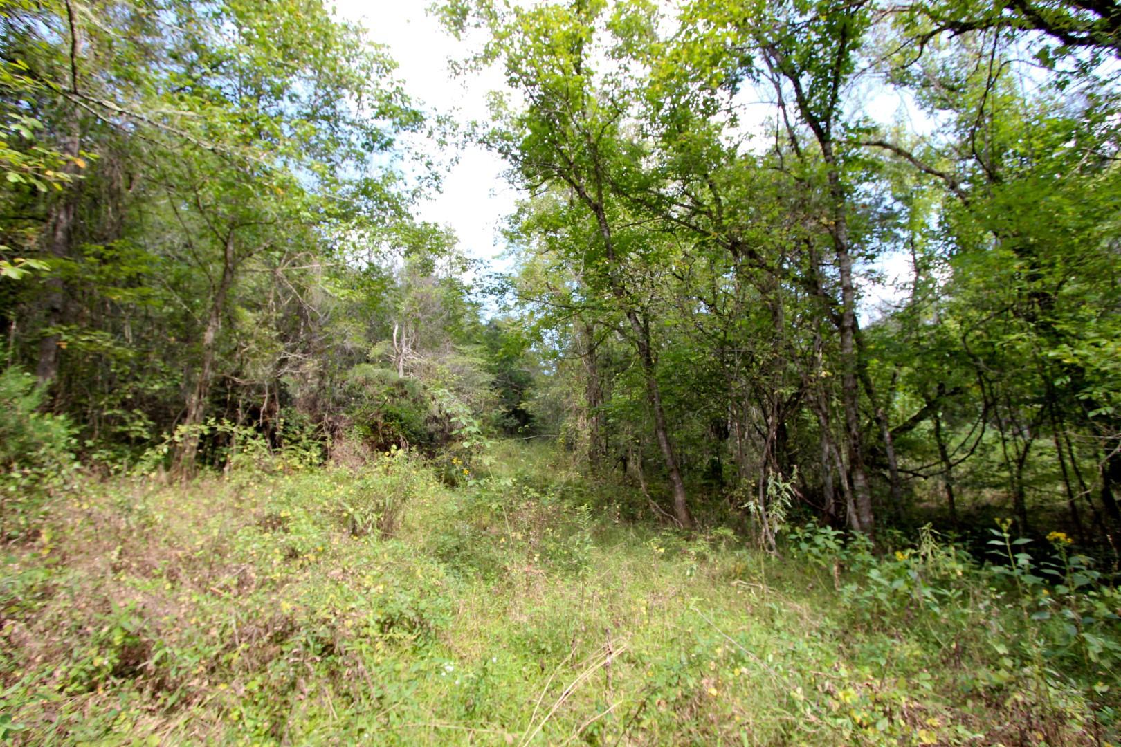 1105 Palmer Hollow Road Bybee, TN 37713 - Photo 8 of 35 IMG_0651