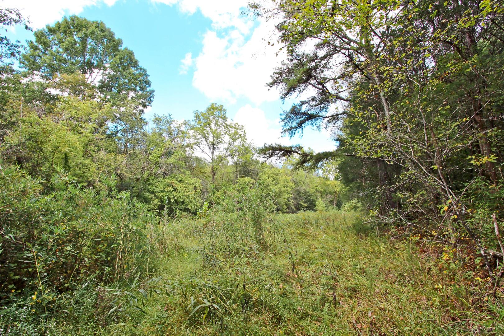 1105 Palmer Hollow Road Bybee, TN 37713 - Photo 10 of 35 IMG_0653
