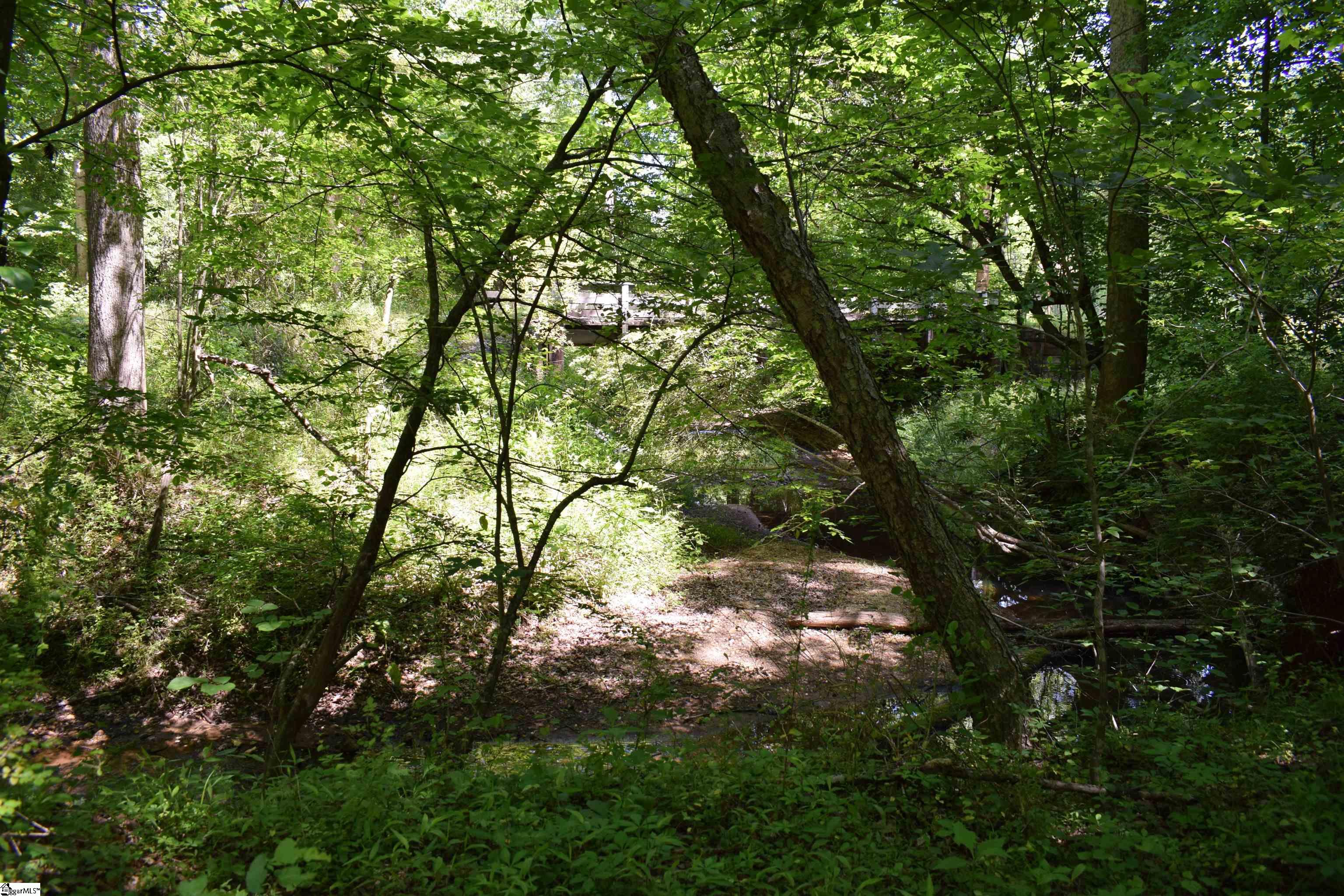 Floyd Blackwell Road Tryon, NC 28782 - Photo 12 of 27