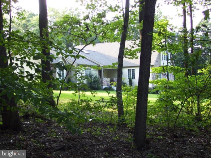 1867 Old Elk Neck Road Elkton, MD 21921 - Photo 18 of 30 Wooded View / Acreage