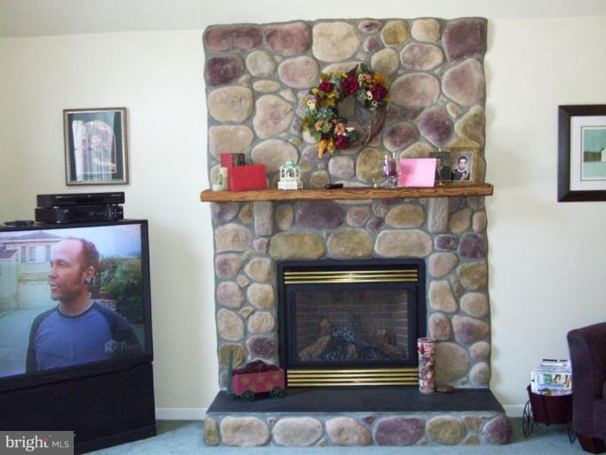 1867 Old Elk Neck Road Elkton, MD 21921 - Photo 20 of 30 Fireplace