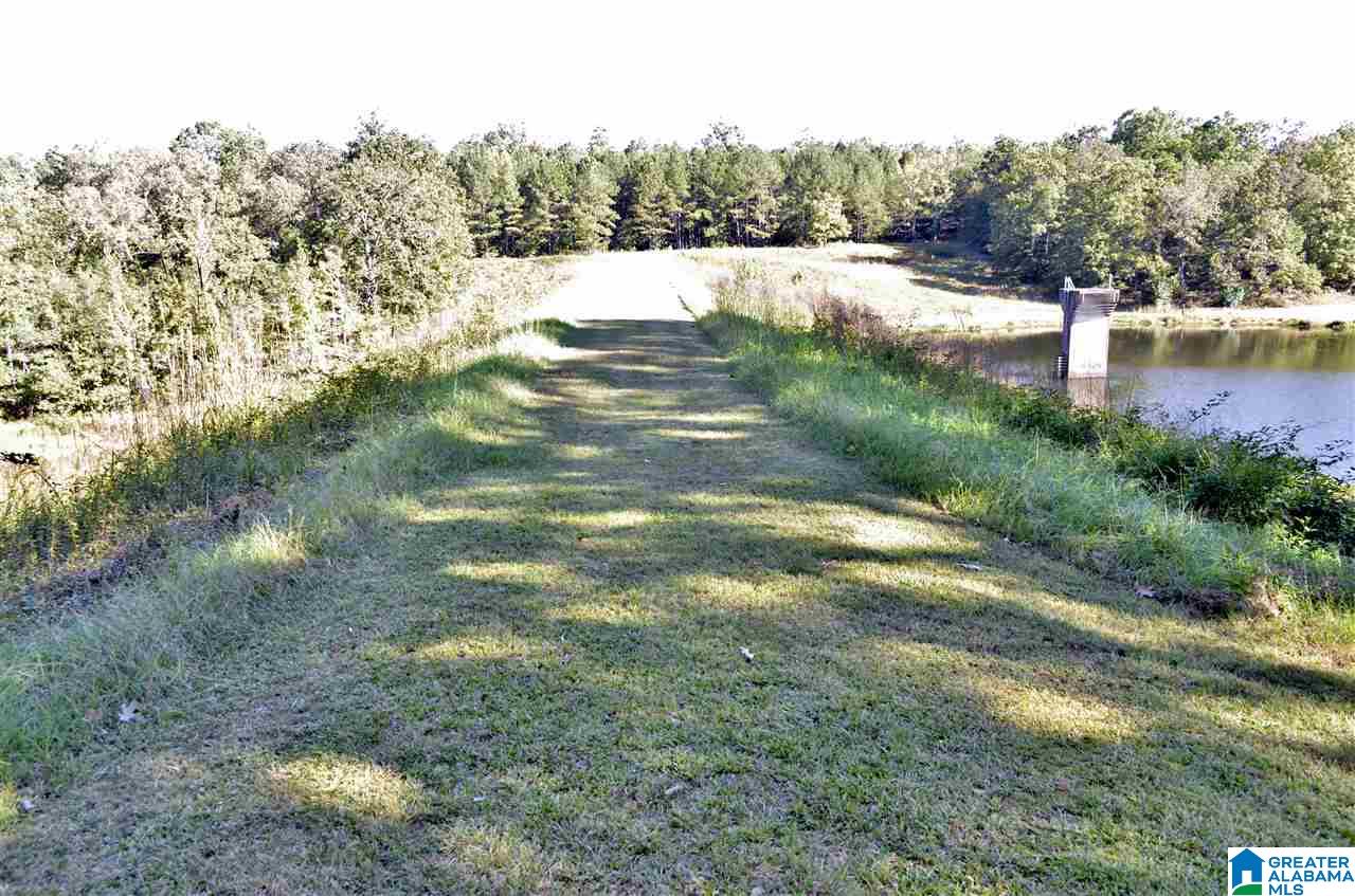 516 Wilson Mine Road Piedmont, AL 36272 - Photo 21 of 35