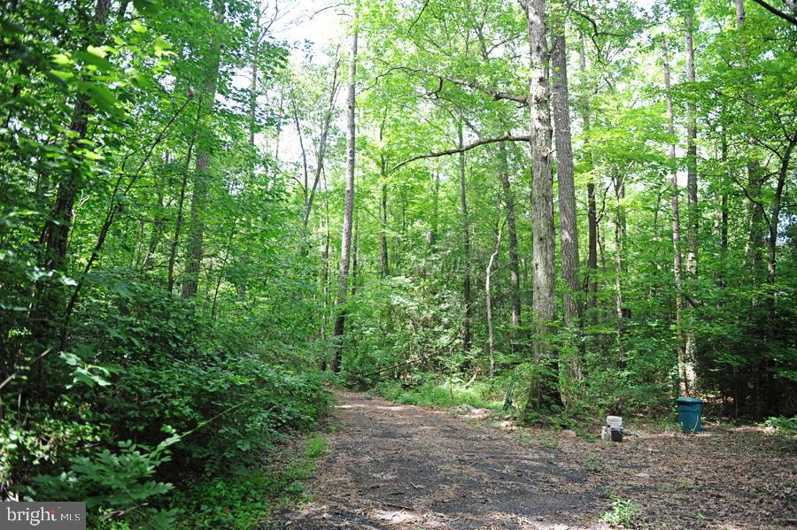 8926 Rum Ridge Road Delmar, MD 21875 - Photo 2 of 9 Gallery Image 2
