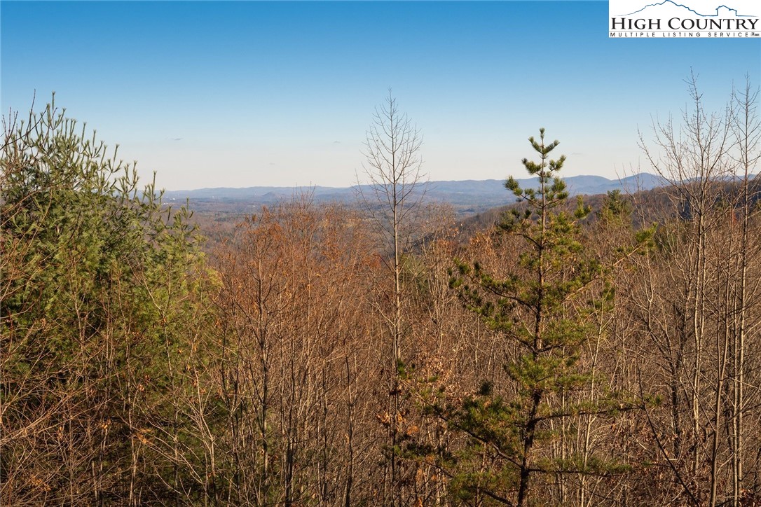 414 Elk Horn Road Ferguson, NC 28624 - Photo 17 of 27 a view of a backyard