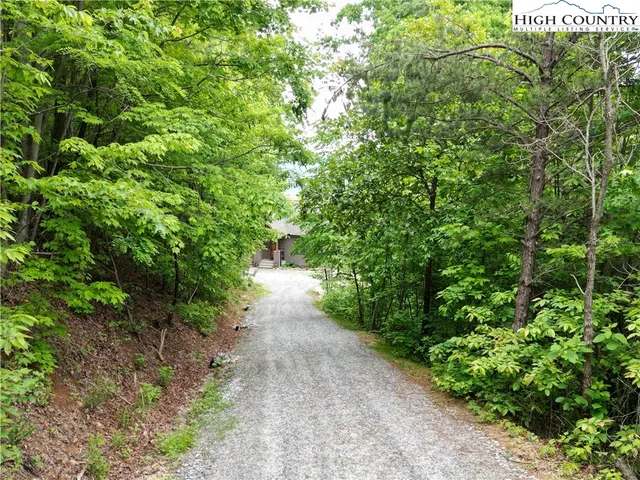 a view of a pathway both side of yard