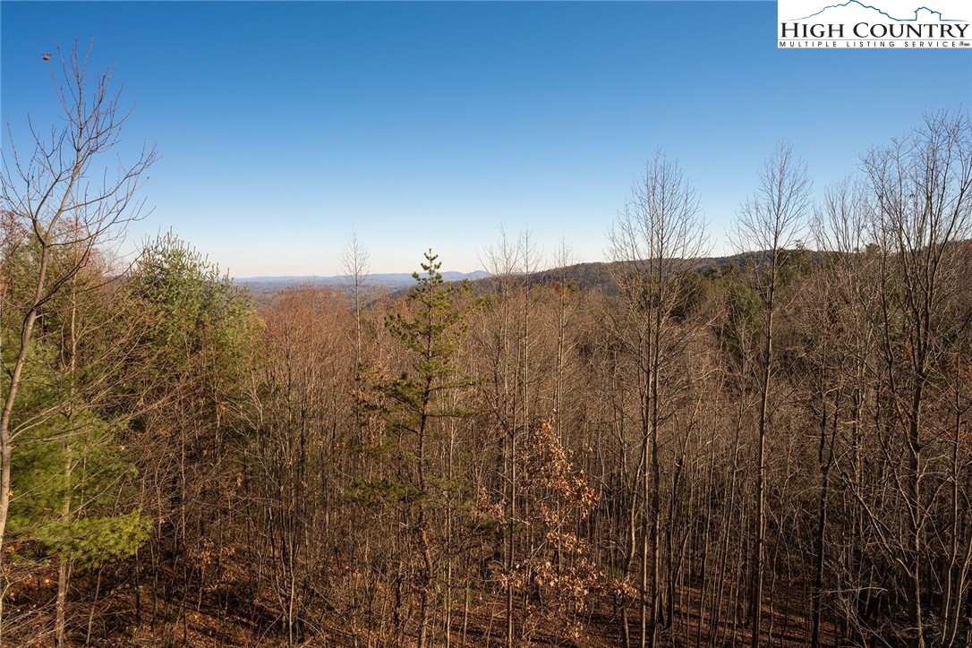 414 Elk Horn Road Ferguson, NC 28624 - Photo 26 of 27 a view of a dry yard with trees
