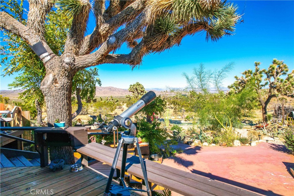 59489 Onaga Trail Joshua Tree, CA 92252 - Photo 32 of 73