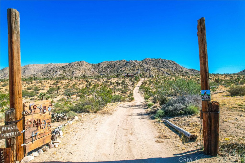 59489 Onaga Trail Joshua Tree, CA 92252 - Photo 4 of 73 a view of a yard with a tree