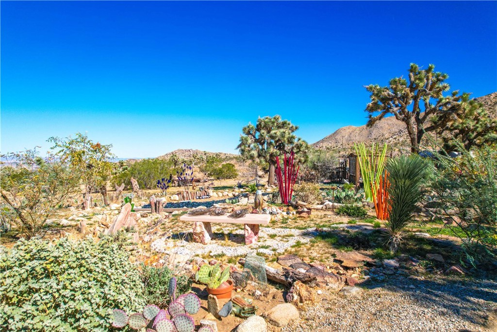 59489 Onaga Trail Joshua Tree, CA 92252 - Photo 43 of 73