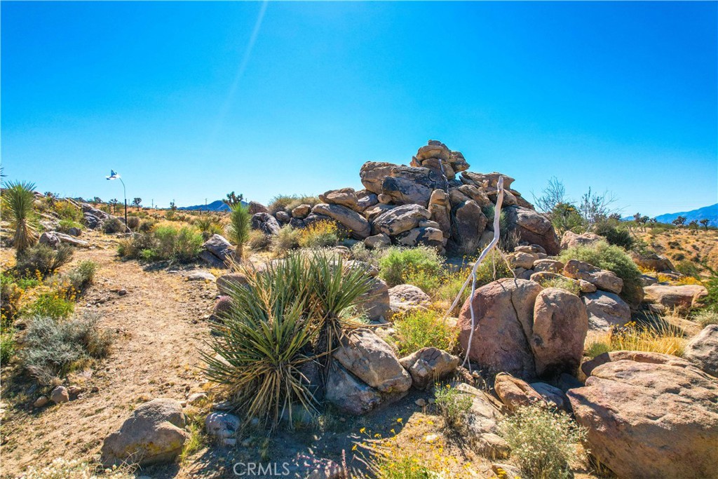 59489 Onaga Trail Joshua Tree, CA 92252 - Photo 62 of 73