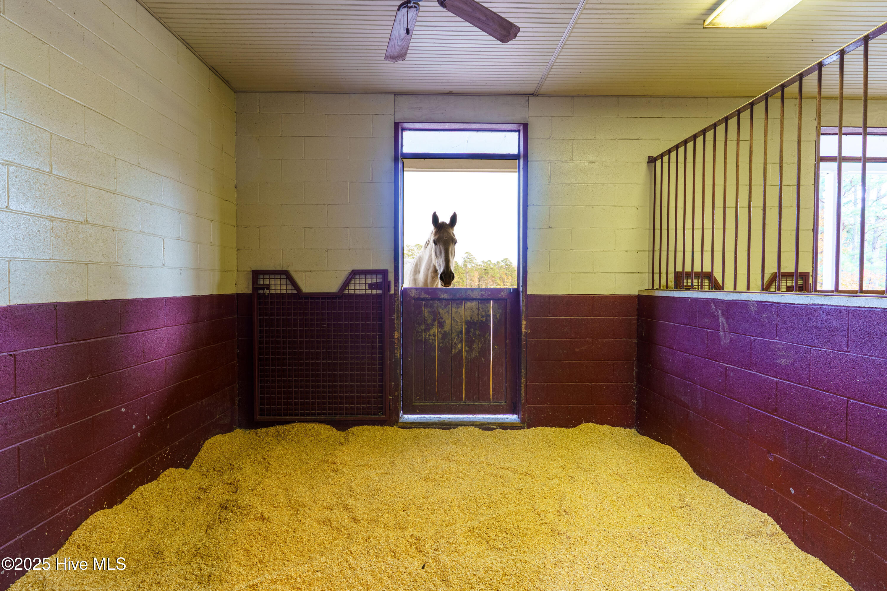 300 Good Barn Road Vass, NC 28394 - Photo 15 of 65 292 BA drone-28