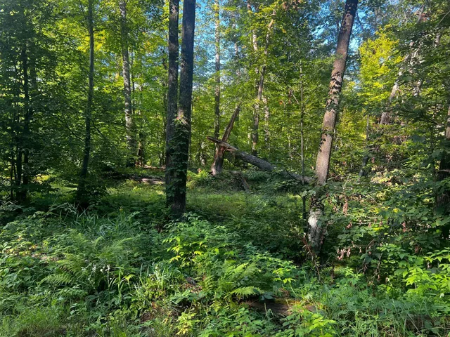 $65,000 | 49760 197th Avenue, McGregor, MN 55760