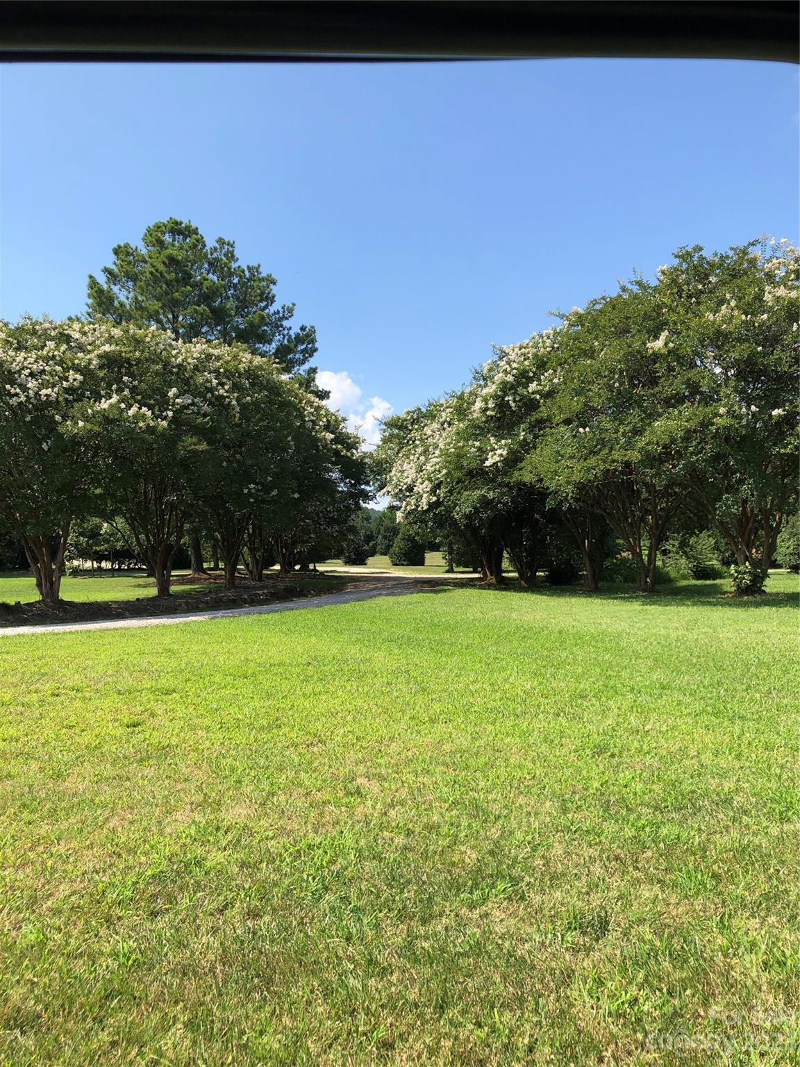 195 Thomas Road Clover, SC 29710 - Photo 31 of 45 a view of outdoor space with deck and trees