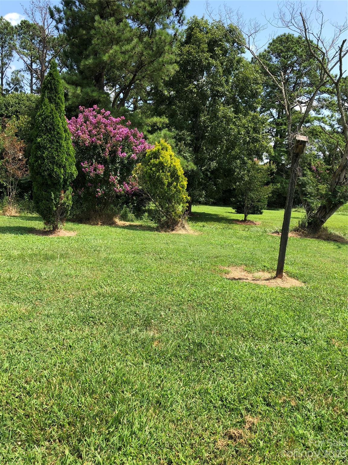 195 Thomas Road Clover, SC 29710 - Photo 32 of 45 a view of a backyard