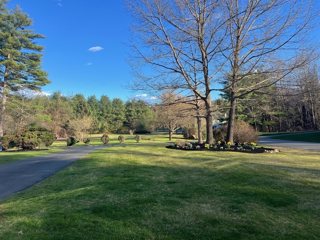 11 Barnside Road Boxford, MA 01921 - Photo 5 of 42 a view of a park with large trees